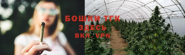 амф Дмитровск